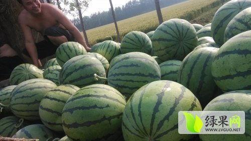 汾阳吃瓜最新事件爆料,揭秘背后惊人真相  第3张